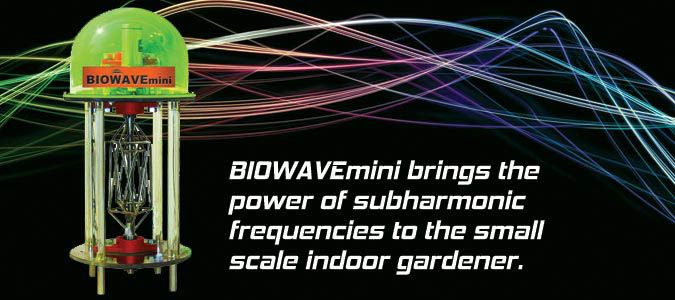 BioWave Mini