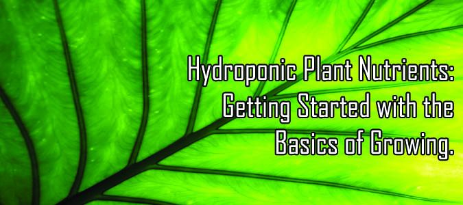 hydroponic plant nutrients