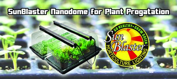 sunblaster nanodome