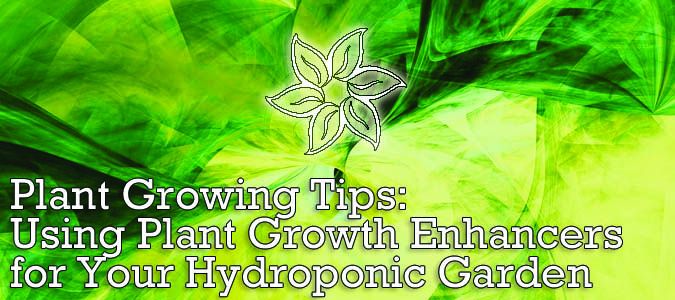 plant growing tips